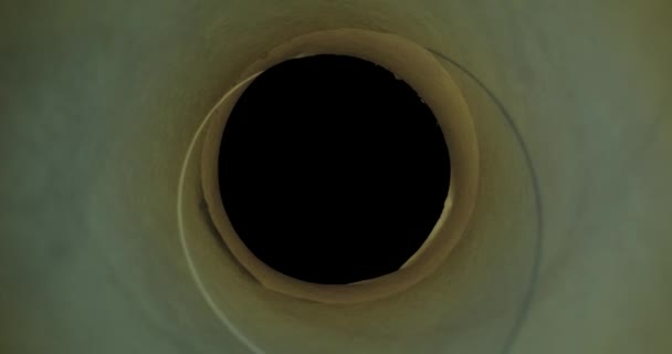 Tunnel Effekt Kamera Rörelse Sond Lins Inuti Toalettpapper Rulle — Stockvideo
