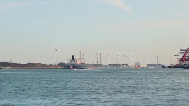 Rotterdam Nizozemsko Circa 2019 Lodě Přístavu Rotterdam Nákladní Lodě Calandcanal — Stock video