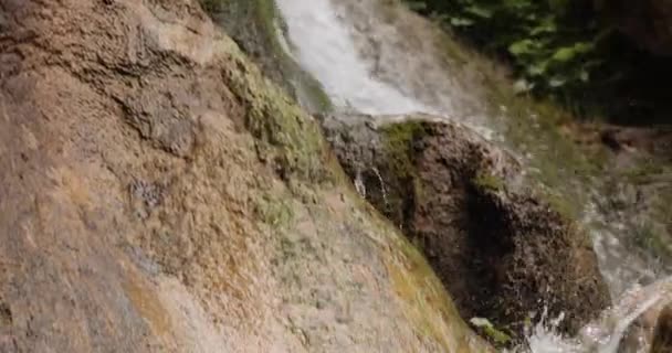 森林中的瀑布 夏日的山景 水后的相机 — 图库视频影像