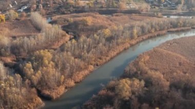 Tisza Gölü 'nün su manzarası hava manzaralı drone çekimi, ağaçların, bataklıkların ve adaların sonbahar rengi.