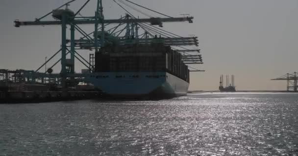 在欧洲最繁忙的港口鹿特丹港 集装箱装载在一艘巨大的货船上 集装箱船 — 图库视频影像