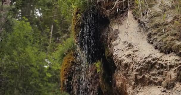 Kleine Waterval Druipend Het Bos Zomer Berglandschap Camera Volgend Water — Stockvideo