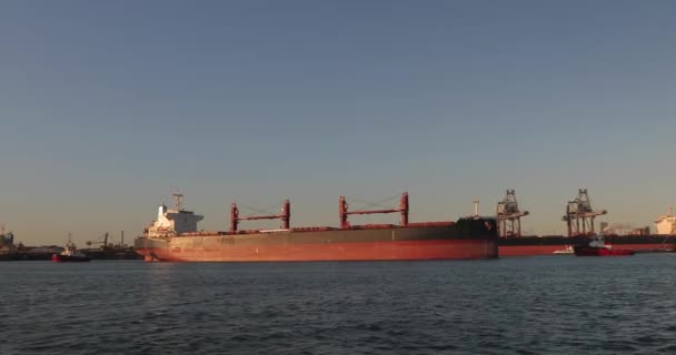 Enorme Bulkcarrier Vrachtschip Gesleept Haven Van Rotterdam Voor Aanmeren — Stockvideo