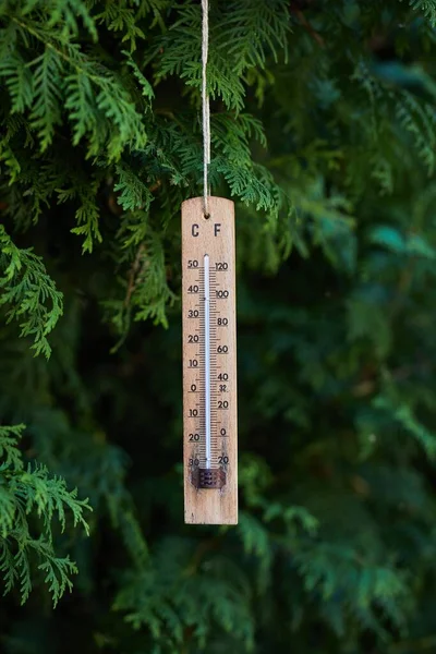Thermometer Showing Hot Summer Temperatures Garden — Stock Photo, Image