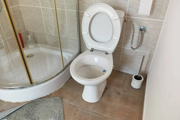 Toilette Gefliesten Badezimmer Eines Hauses — Stockfoto
