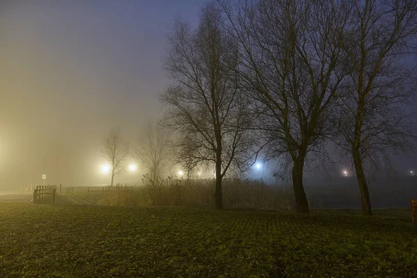 Mlhavý Park Noci Vzdálenými Lampami Mlhavý Chlad Vzduchu — Stock fotografie