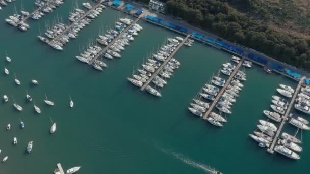 Vista Aérea Muelles Del Puerto Deportivo Puerto Pula Croacia Muchos — Vídeo de stock