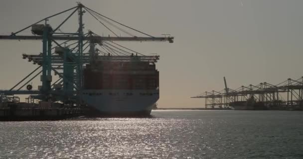 Rotterdam Holandia Września 2019 Kontenery Załadowane Ogromny Statek Towarowy Porcie — Wideo stockowe