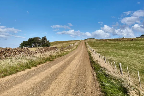 Countryside Dirtroad New Zealand Grassy Farms — Stock Photo, Image