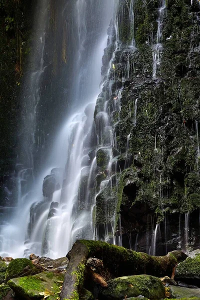 Cascata Che Scende Sulle Rocce Nuova Zelanda — Foto Stock