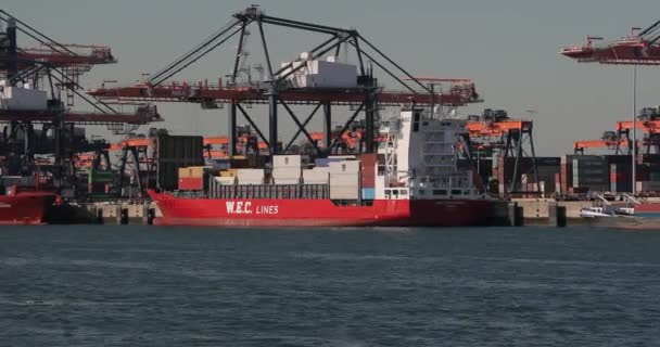 Rotterdam Netherlands Circa 2019 Containers Loaded Cargo Ship Euromax Container — Stock Video