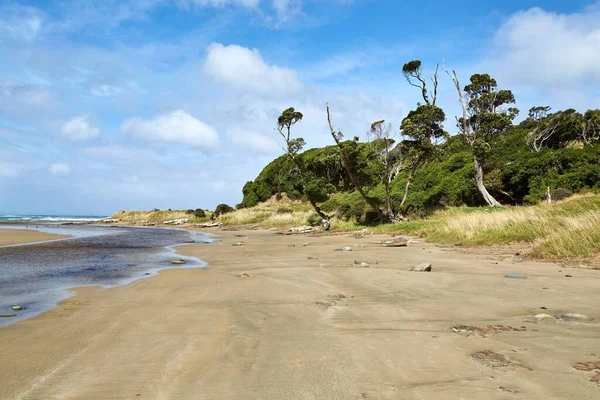 Praia Oceano Arenoso Nova Zelândia Sem Pessoas Redor — Fotografia de Stock