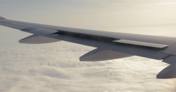 Widok Okna Samolotu Spojler Włączony Skrzydłach Użycie Powierzchni Sontrolu Lotniczego — Wideo stockowe