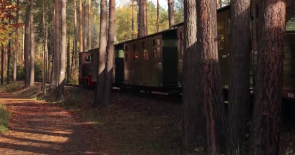 크롬라우에 의작은 기관차 — 비디오