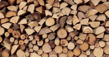 Odun yığını kesilmiş ve bir kulübede depolanmış.