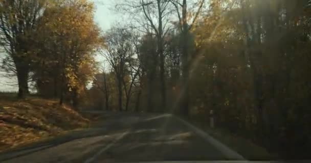 Αυτοκίνητο Οδήγησης Εσωτερική Άποψη Φθινόπωρο Δασικοί Λόφοι Πολύχρωμα Φύλλα Ήλιο — Αρχείο Βίντεο