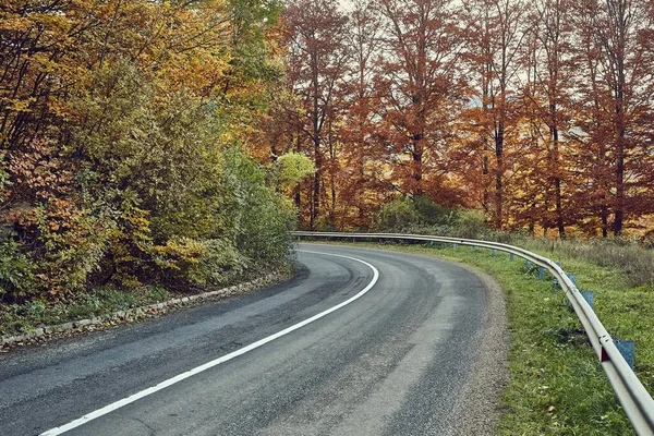 Herbststraße Führt Durch Den Wald — Stockfoto