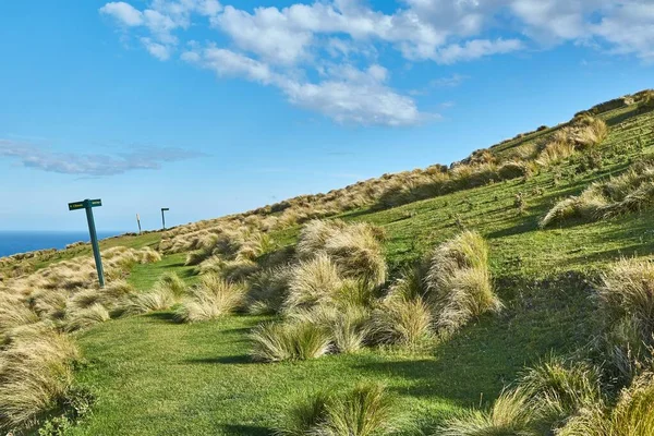 新西兰的青山 绿草繁茂 奥塔戈半岛 沿着草地行走 指示标志 — 图库照片