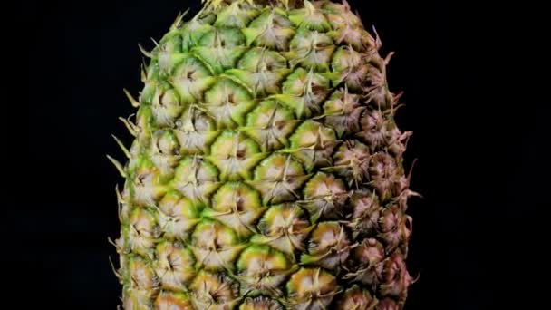 Ananas Spinning Isolerad Svart Bakgrund Rörlig Grafik Element Vrida Full — Stockvideo
