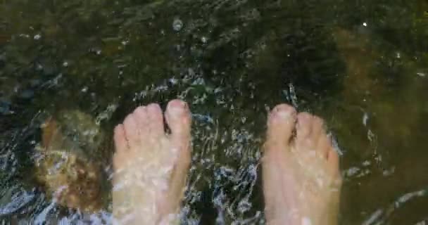 산속의 시냇물 속에서 하이킹을 휴식을 취하는 — 비디오