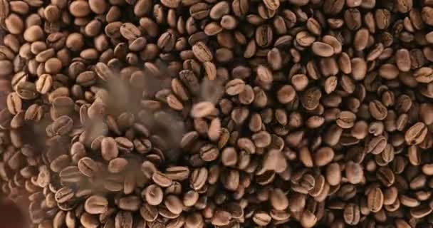 Koffiebonen Een Stapel Gieten Geroosterd — Stockvideo