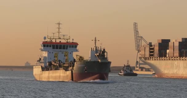 Rotterdam Holanda Setembro 2019 Navio Dragagem Navegando Porto Roterdão Perto — Vídeo de Stock