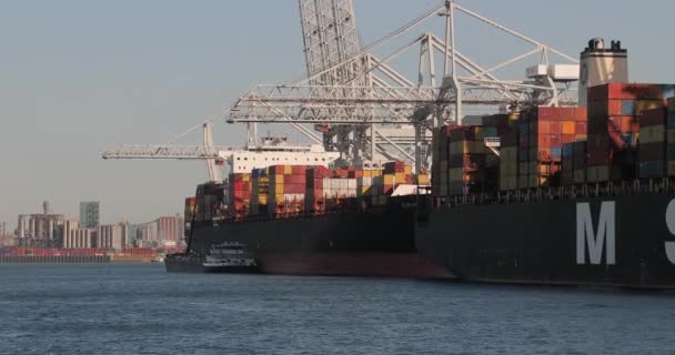 Rotterdam September 2019 Containerschepen Containerterminal Van Het Vrachtdok Haven Van — Stockvideo