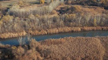 Tisza Gölü 'nün su manzarası hava manzaralı drone çekimi, ağaçların, bataklıkların ve adaların sonbahar rengi.