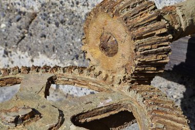 Pas içinde çürüyen eski bir makinenin dişlileri.