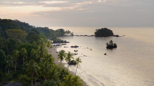 Piaszczysta Plaża Oceanu Spokojnego Palmami Choco Kolumbia Pobliżu Nuqui Lotu — Wideo stockowe
