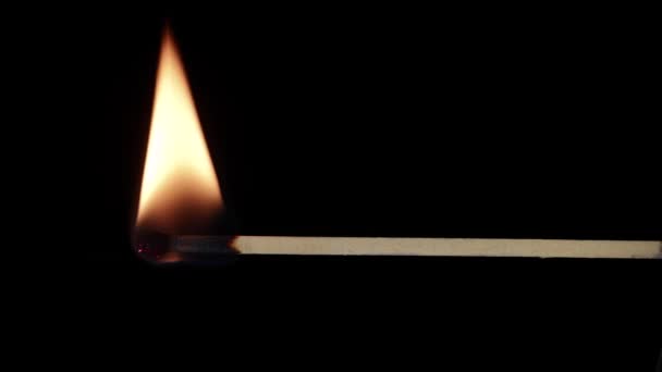 ブラックバックグラウンドに対する照明と燃焼の炎にマッチング 高速タイムラフ映像 — ストック動画