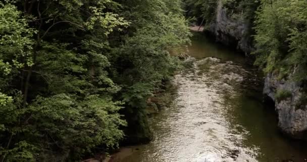 Ποταμός Schwarza Στην Αυστρία Ρέει Κάτω Από Μια Κοιλάδα Του — Αρχείο Βίντεο
