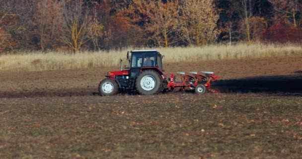 Tiszafured Ungern Oktober 2022 Traktorplogning Jordbruksmark Med Tallriksplog — Stockvideo