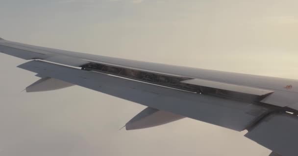 飛行機の窓からの眺め 翼に従事するスポイラーおよびフラップ 飛行を制御する航空機のソノロール表面の使用 — ストック動画