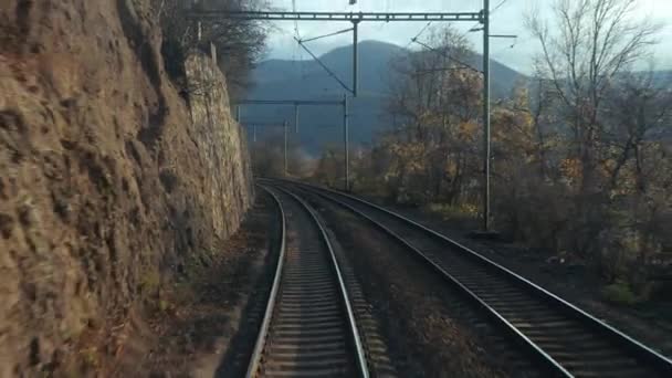 Tren Yolculuğu Bakış Açısı Son Vagonun Arkasından Sonbahar Yaprakları Türbülans — Stok video