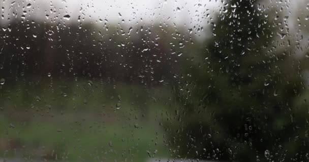 Gouttes Pluie Sur Surface Vitrée Fenêtre Vue Sombre Extérieur — Video