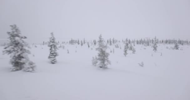 Nevado Paisaje Invierno Nórdico Que Pasa Por Viaje Norte — Vídeos de Stock