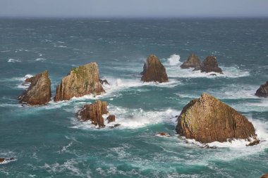 Nugget Point 'te kıyı manzarası. Kıyı şeridinde azgın deniz taşları aşınıyor.