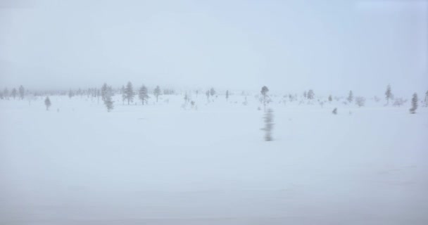 Snowy nordic landscape passing by on trip in the Finnish North