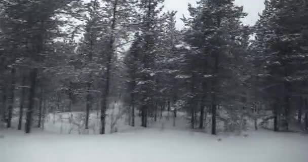 Snowy Nordic Landscape Passing Trip North — стоковое видео