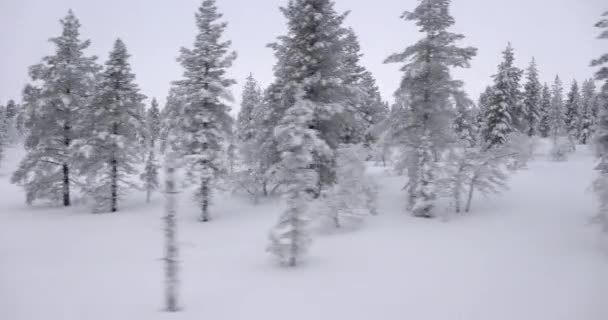 フィンランドのラップランド旅行で通過する雪の北の森の風景 — ストック動画