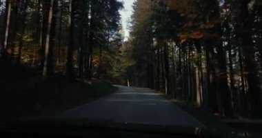 Dar bir dağ manzaralı yolda sonbahar manzarası