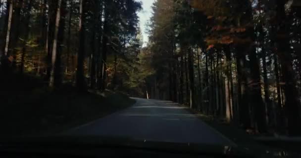 Otoño Conduciendo Vista Desde Coche Una Estrecha Carretera Panorámica Montaña — Vídeos de Stock