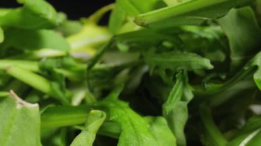 Taze yeşil aragula salatası makro kamera hareketi geniş açılı prob mercekli, yığın halinde yapraklar