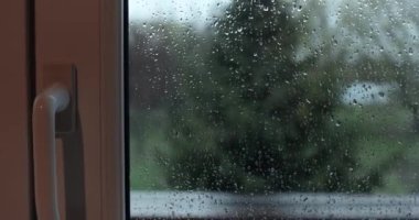 Pencere camında yağmur damlaları akıyor, dışarısı kasvetli.