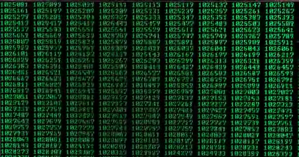 Números Primos Calculados Desplazándose Una Pantalla Computadora Programación Simple Computación — Vídeo de stock