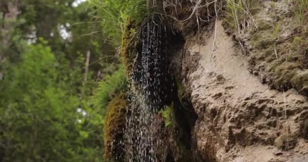 Pequeña Cascada Goteando Bosque Paisaje Montaña Verano Cámara Siguiendo Agua — Vídeos de Stock