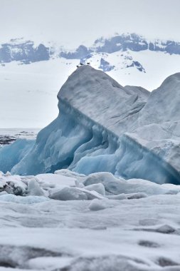 Jokulsarlon, İzlanda 'daki buzul gölü, donmuş arazideki buzdağları