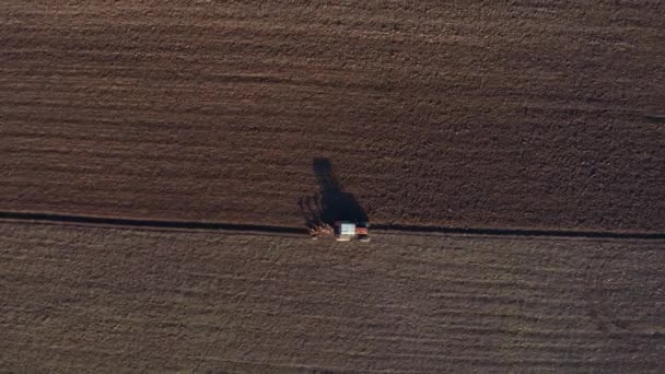 Tractor Ploegen Landbouwvelden Luchtfoto Van Drone — Stockvideo