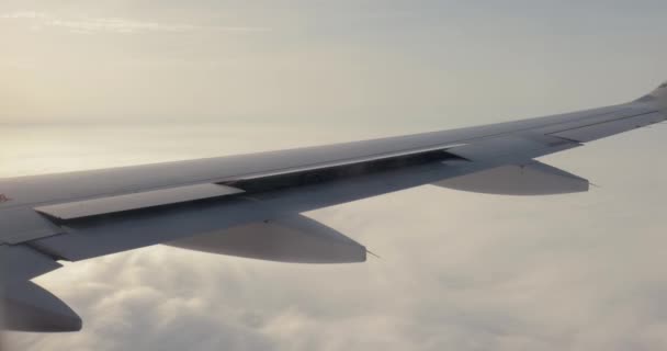 Blick Aus Dem Flugzeugfenster Spoiler Den Tragflächen Verwendung Von Flugsteuerflächen — Stockvideo